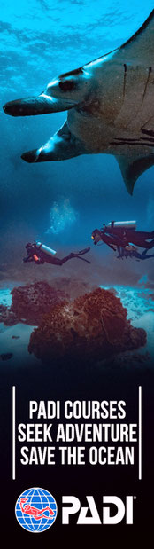 Padi course image with manta ray