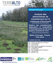 Rapport Phase 1 diagnostic Avocourt, 2024