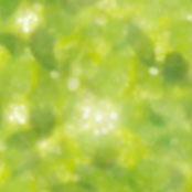Pattern Pinholecap ページ Pattern Pinholecap ページ