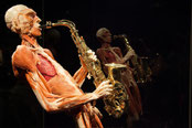 Body Worlds