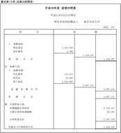 平成30年度　貸借対照表