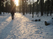 nordic walking kurse in berlin im winter