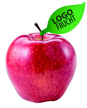Apfel bedrucken, Apfel mit Logo, bedruckte Äpfel, Logo Apfel, Apfel bedruckt, Logo Äpfel, Apfel druck, Logo auf Apfel, Logo Äpfel, Apfel Werbemittel, Apfel Werbung