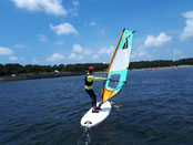 ウインドサーフィン　ＳＵＰ　海の公園　神奈川　横浜　スピードウォール　スクール　体験　初心者