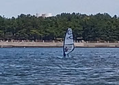 ウインドサーフィン　スクール　ＳＵＰ　海の公園　神奈川　横浜　スピードウォール　初心者　体験