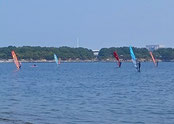 speedwall 神奈川　横浜　海の公園　ウインドサーフィン　SUP　スクール　体験　スピードウォール