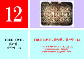 TRUE LOVE  真の愛  참사랑 . 12