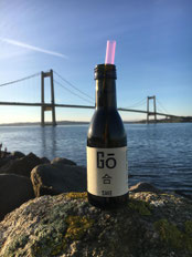 Berlin Sake: Go-Sake comes to Germany