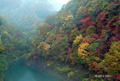 東北の紅葉