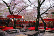 平野神社