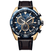 This is a CITIZEN PROMASTER CB5039-11L  product image