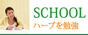 SCHOOL　ハーブを勉強