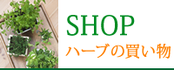 SHOP　ハーブの買い物