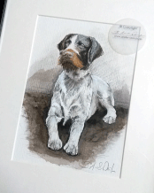 Hunde Portrait Zeichnen lassen