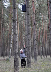 Fotobearbeitung Andrea Weinke