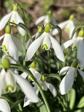  (Foto: M. Kempermann)