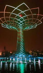 Tree of Life - Licht und Laser Show