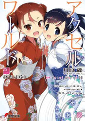 Accel World Volumen 25 - Portada