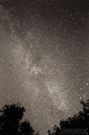 My first attempt to capture the Milky Way