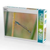 2000 Teile