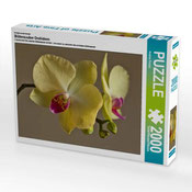 2000 Teile