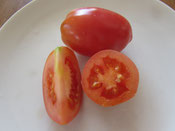 Rote Zora: Rote, längliche Tomate. Foto Bio Gärtnerei Kirnstötter