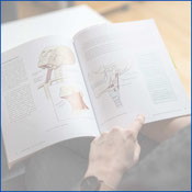 Buch mit anatomischen Zeichnungen