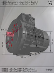 Fuß-Flanschmotor B35 0,75 Kw, 2 polig ca. 2800 U/min IEC 80A HTM 120 / 180. 