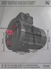 Motor eléctrico de alta temperatura 3,0 Kw, 4 polos sobre 1400 rpm IEC 100L (B).