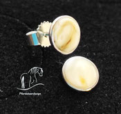 Pferdezahn Ohrstecker