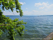 Starnbergersee