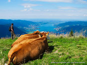 randonnée Tegernsee