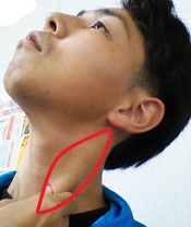 ストレスで首が痛い奈良県御所市の男性