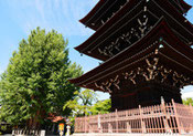 飛騨国分寺　布久庵から徒歩15分