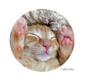 ゆずちゃん
