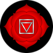 Stuitchakra