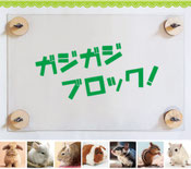 デグー・フクロモモンガ・シマリス  おしっこ対策ステージイメージ