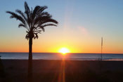 Reiseberichte,  Palme, Meer, Sonnenuntergang