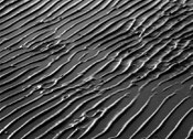 Wattenmeer