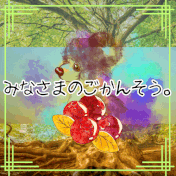 ✩お迎えされた皆様のご感想✩