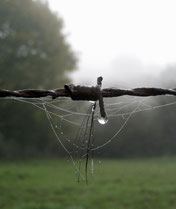 Foto: Helga Erbe
