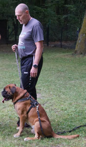 Horst mit Torres vom Weiten Land - AD, ZTP, BH