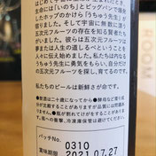宇宙ビール UCHU BREWING HARMONY