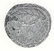 2007　眠りの前 Before Sleep　4. 8x 5. 1cm-Limited Edition 30　木口木版 ￥7,000