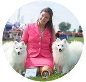 World Japanese Spitz Day; official representative in Great Britain; Lyndsey Jones; Japanese Spitz kennel LLwyni; Margarita Rybakova; WJSD; official representative; Lithuania; Japanese Spitz; dogs; white dog; 