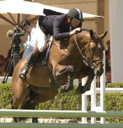 IVORY STAR (ARPEGE PIERREVILLE)