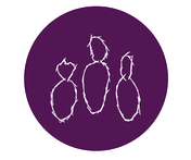 CoachingRaum Karlsbad Logo - Coach Alexandra Gebhardt