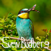 Sven Budberg