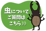 虫についてのご質問はこちら