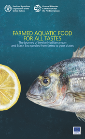 scientific illustration artist 